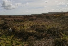 Rosewall Hill Cairn