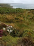 Carn Gluze