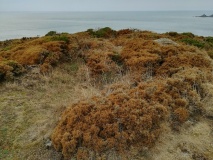 Carn Polpry Ring cairns