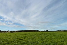 Brunnion Cross