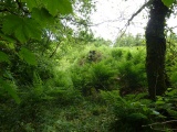 Upton Castle - PID:167121