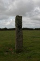 Laity Moor (Tremenheere) - PID:31373