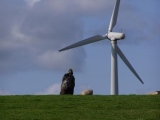 St Breock Downs Menhir - PID:14772
