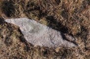 Louden Hill circle - PID:130961