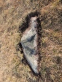 Louden Hill circle - PID:130960