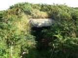 Treen Entrance Grave (SW) Chambered Tomb : The Megalithic Portal and