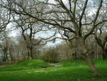 Pencarrow Rounds