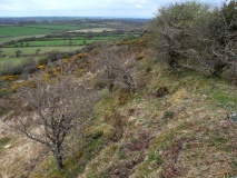 Bray down camp