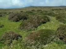 Embla Tumulus