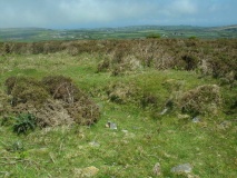 Amalveor downs tumuli