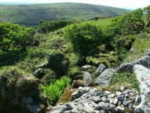 Lower Carne Settlement