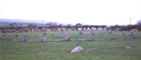 Merry Maidens (Circle) - PID:614