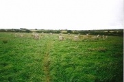 Merry Maidens (Circle) - PID:85251