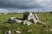 Bosporthennis Quoit