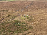 Click for full size image of Boskednan stone circle (PID:280334) Boskednan stone circle