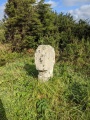 Boswarthen Cross - PID:237039