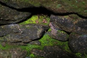 Carn Euny Fogou - PID:162674