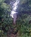 Portlooe Cross - PID:87484