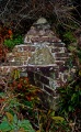 St Morwenna's Well - PID:20776