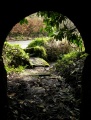 St Cuby's Well (Duloe) - PID:20098