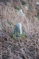 chun castle - PID:46275