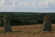 Drift Stones
