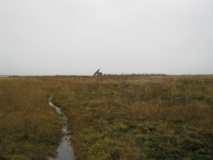 Mulfra Quoit