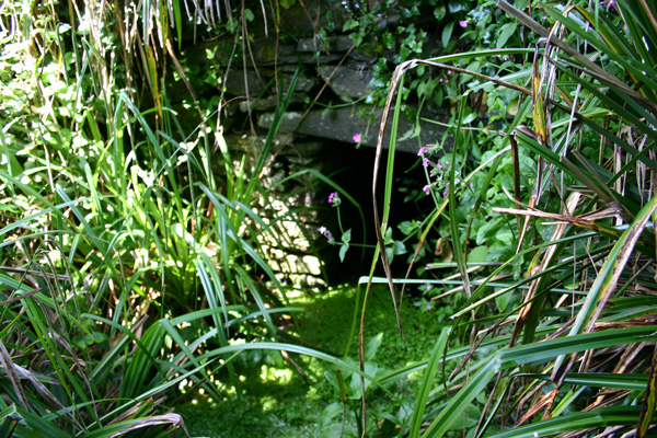 Click for the gallery page to add comments and vote (PID:14377) St Anthony's Well (St Anthony-in-Meneag)