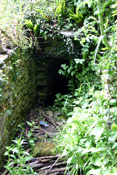 St Cuby's Well (Tregony)