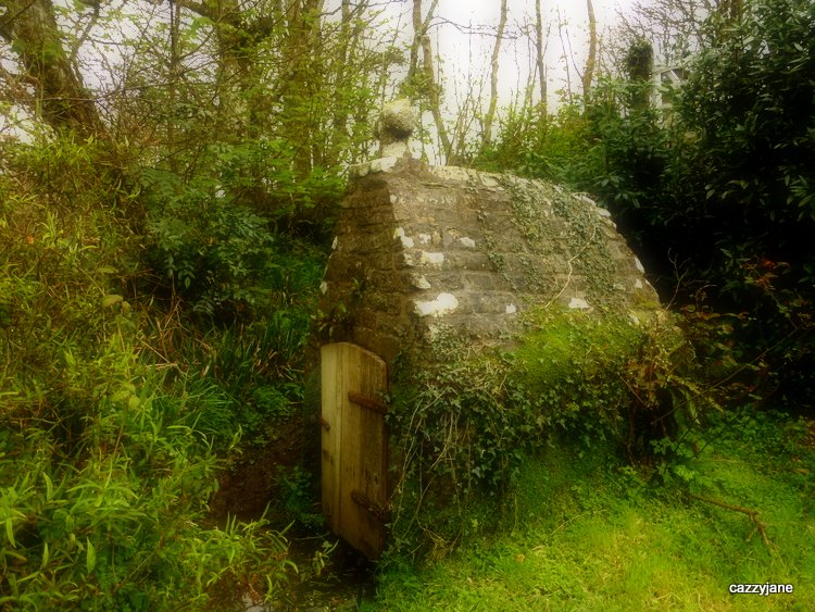 St John's Well (Morwenstow)