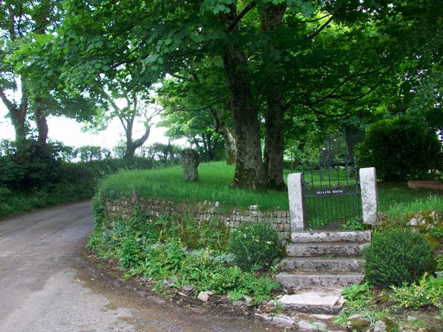 Helland House Ancient Cornish Cross