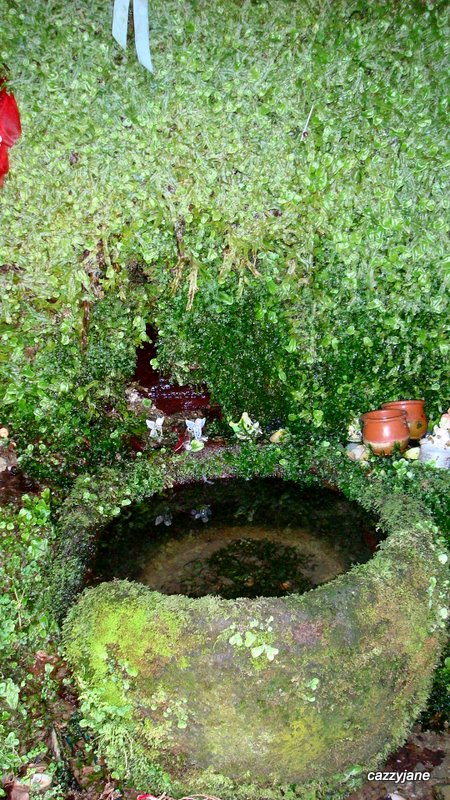St Non's Well (Cornwall)