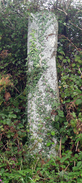 Click for the gallery page to add comments and vote (PID:9500) Welltown Stones