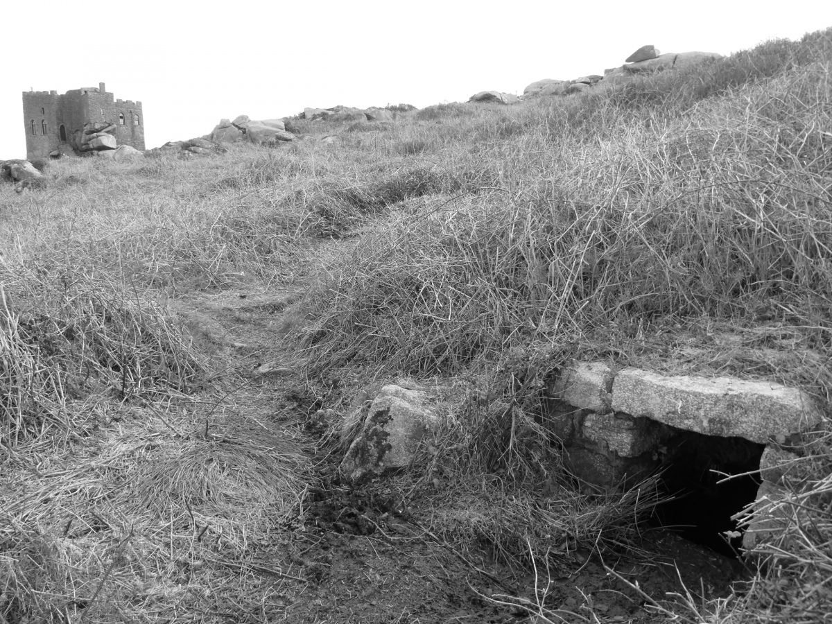 Carn Brea Well