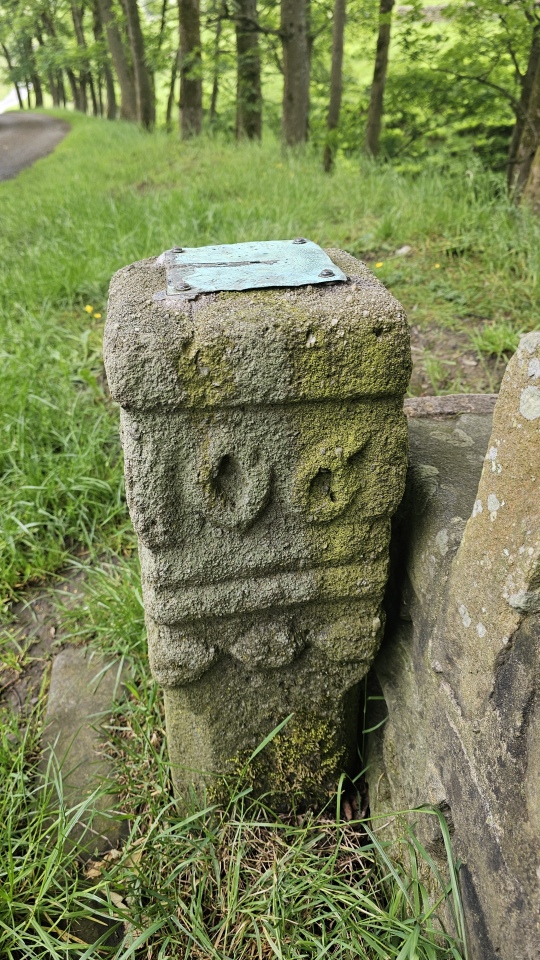 Coldwell Clough Anglo Saxon cross