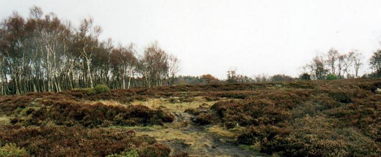 Click for the gallery page to add comments and vote (PID:203) Stanton Moor 3