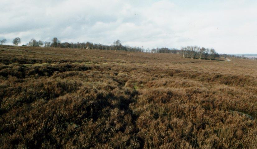 Stanton Moor 4