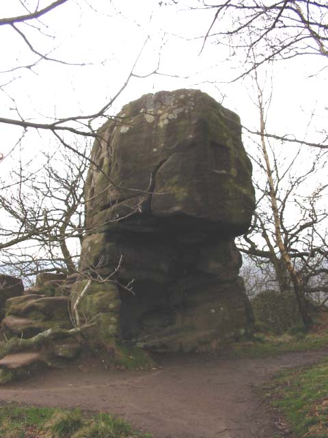 Cat Stone