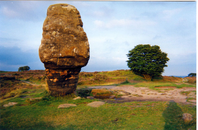 Cork Stone