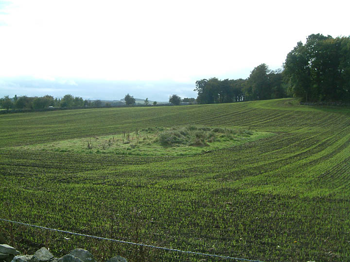 Gospel Hillocks