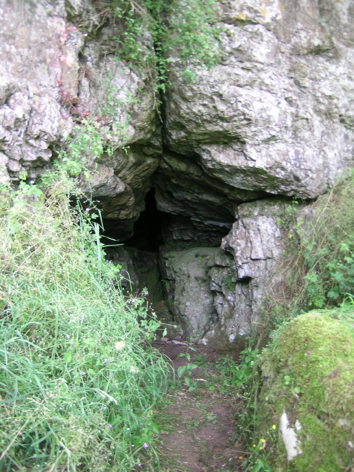 Click for the gallery page to add comments and vote (PID:200113) One Ash Shelter