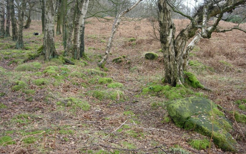 Stanton Moor 1