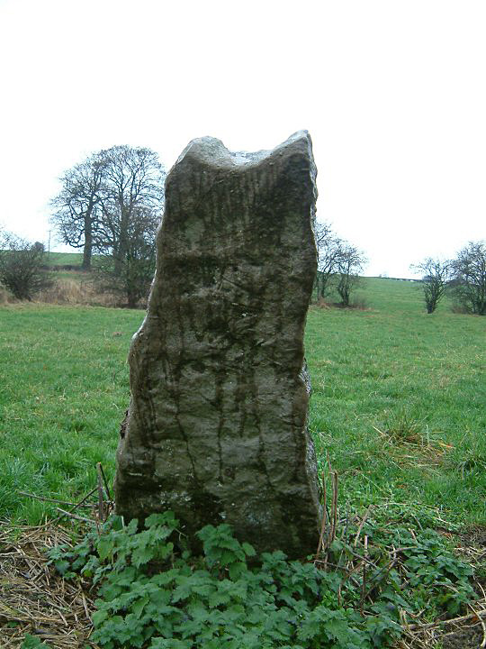 Click for the gallery page to add comments and vote (PID:4663) Bradbourne Stone