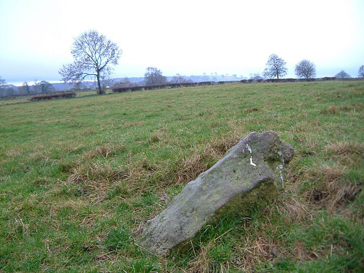 The Bradstone (PID:4290) The Bradstone