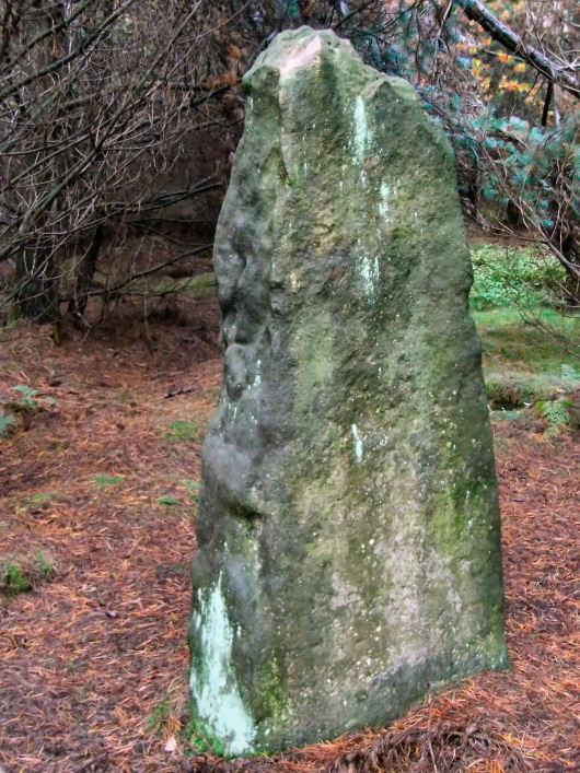 Farley Moor Stone