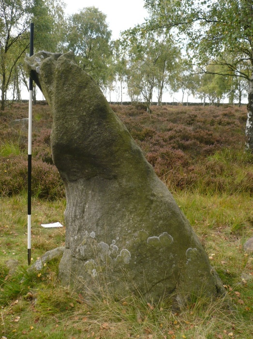 Gardoms Edge Stone