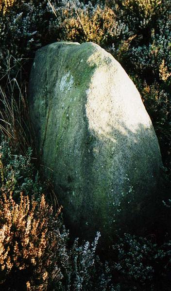 Gibbet Moor South