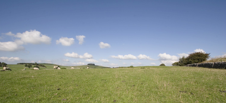Click for the gallery page to add comments and vote (PID:24324) Nettly Knowe