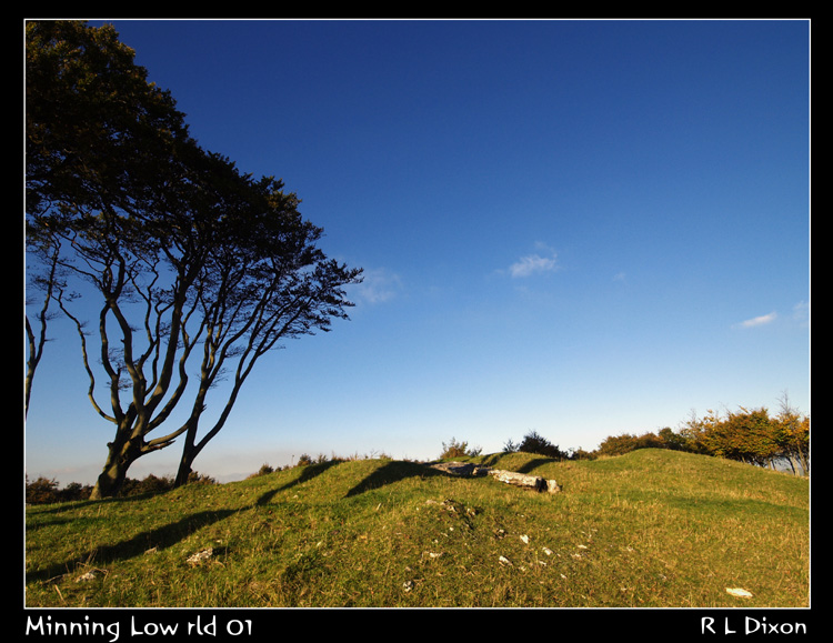Click for the gallery page to add comments and vote (PID:67424) Minning Low