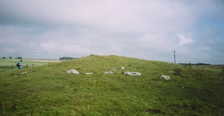Parsley Hay